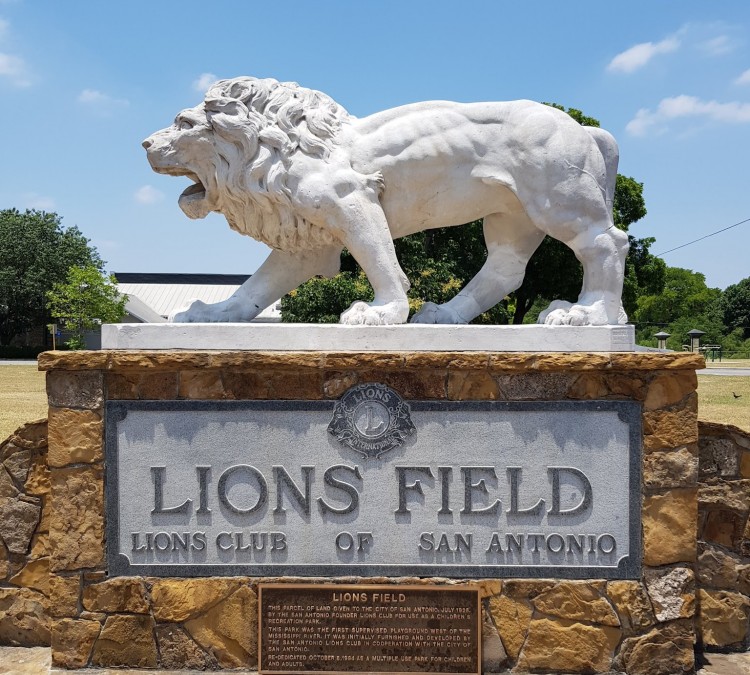 lions-field-photo